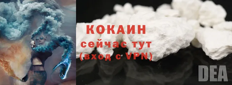 Cocaine Эквадор  OMG ссылка  Нестеров 